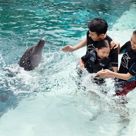 Resorts World Sentosa - Hard Rock Hotel Singapur Exterior foto Dolphin Interaction