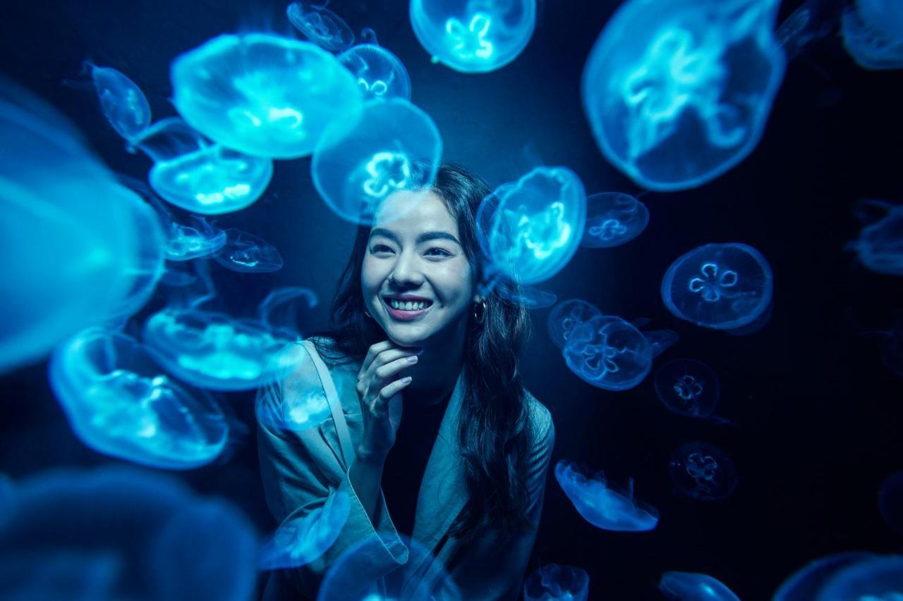Resorts World Sentosa - Hard Rock Hotel Singapur Exterior foto A visitor at the aquarium