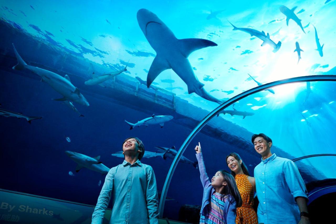 Resorts World Sentosa - Hard Rock Hotel Singapur Exterior foto The Lost Chambers Aquarium