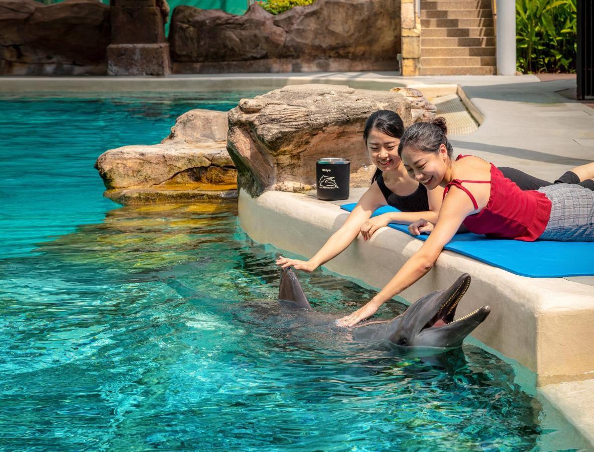 Resorts World Sentosa - Hard Rock Hotel Singapur Exterior foto Dolphin Interaction