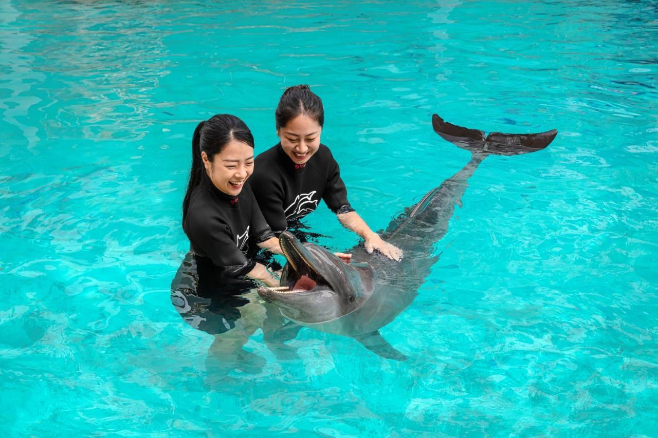 Resorts World Sentosa - Hard Rock Hotel Singapur Exterior foto Dolphin show at SeaWorld